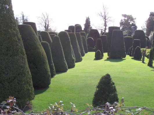 SAMSUNG CAMERA PICTURES